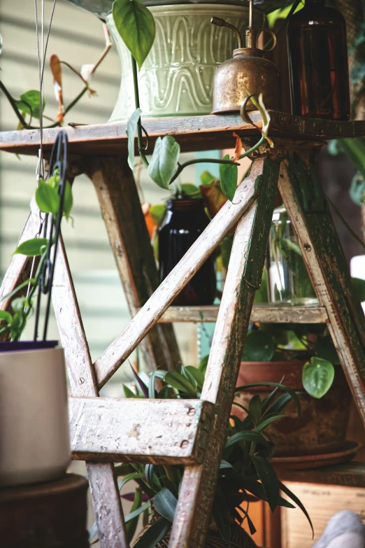 the small potted plants in this potting wheel is the most important