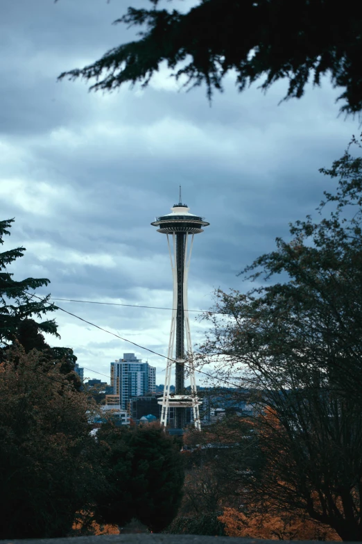 the space needle sits above the trees in seattle