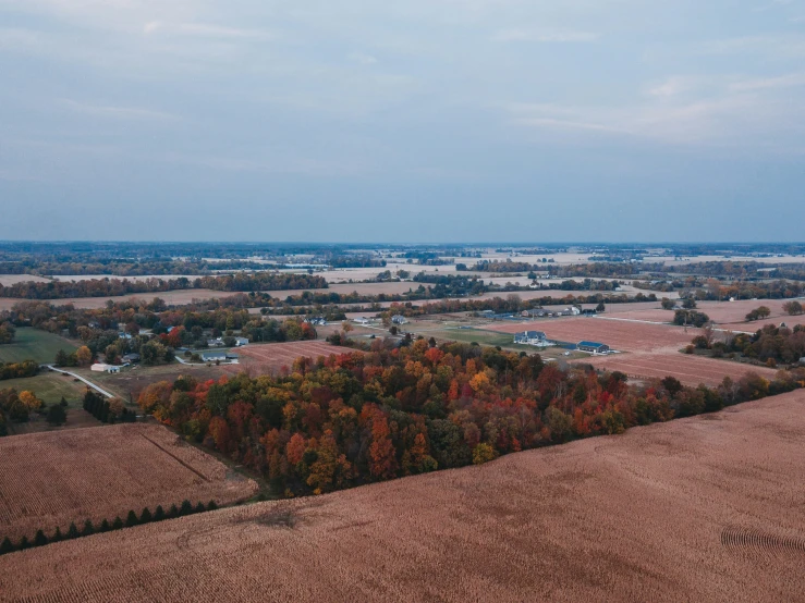 aerial view of a plowed and rolling field with lots of trees