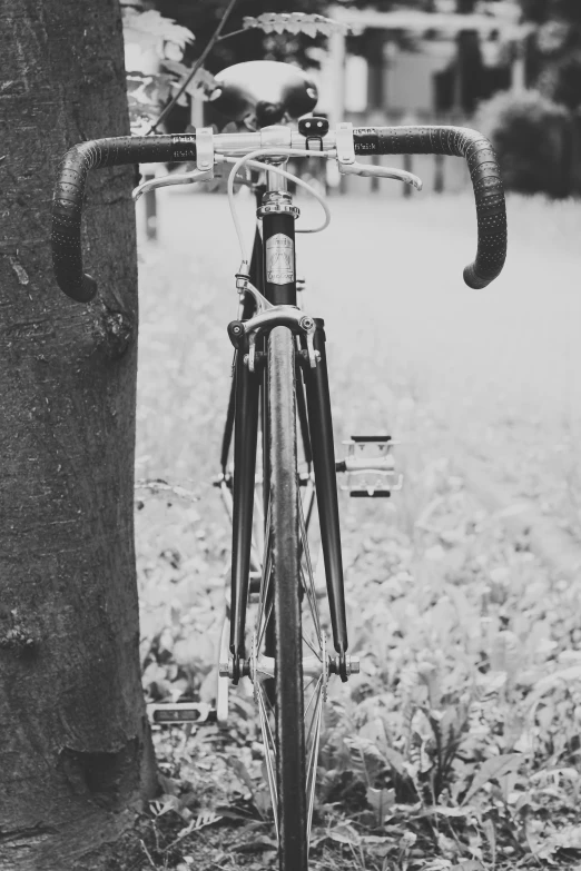 a bike that is standing by a tree