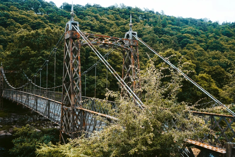 a train bridge in a forest on top of a hill