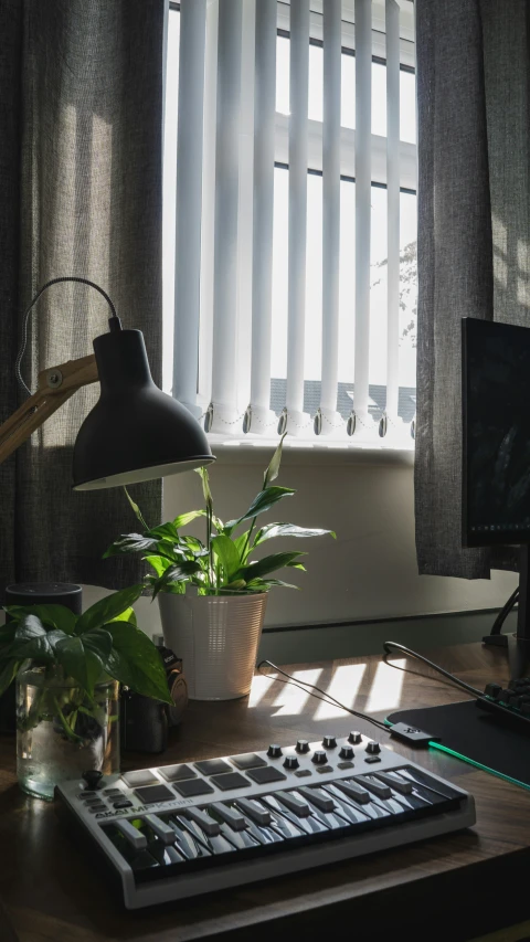 a table with plants and a lamp on it