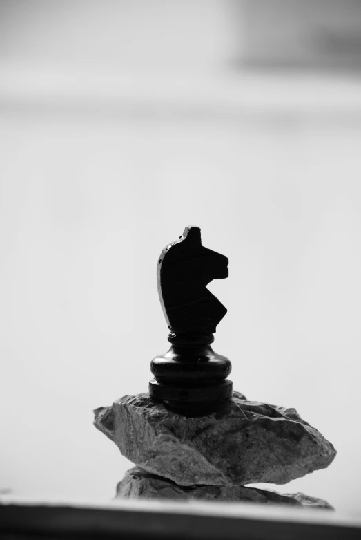 the po is black and white and has a large chess piece