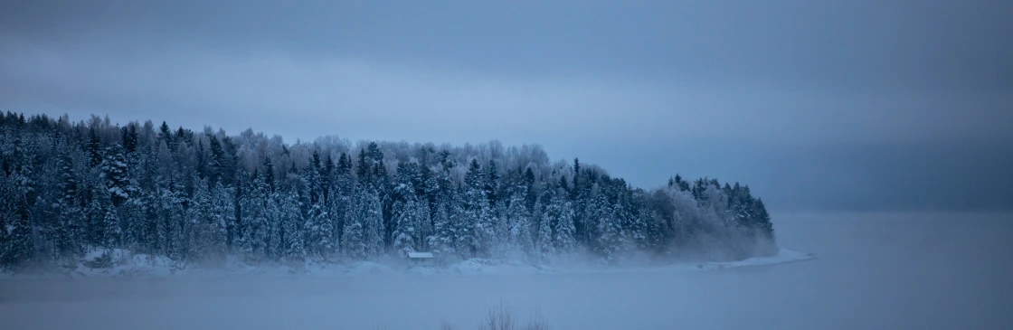 a snowy field with trees and houses