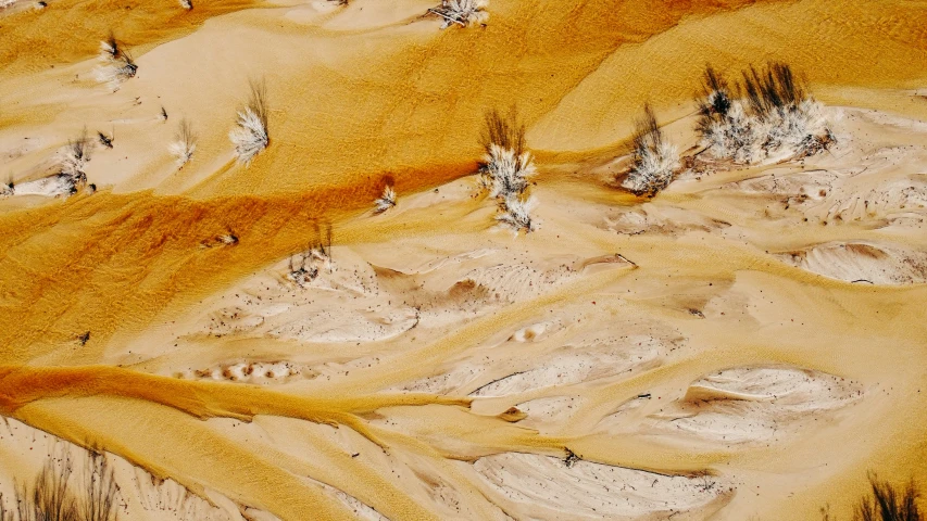 aerial po of a group of people walking in the desert