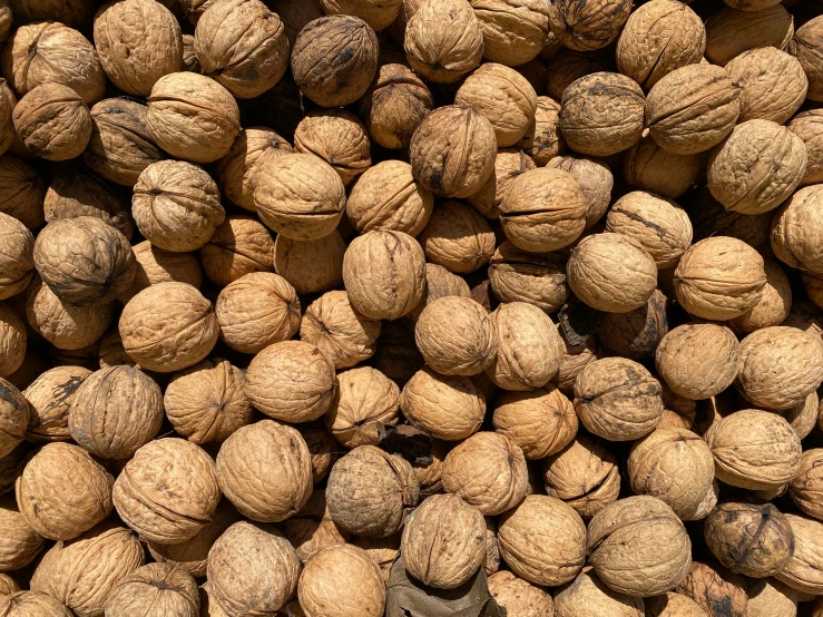 many walnuts piled together in a large pile