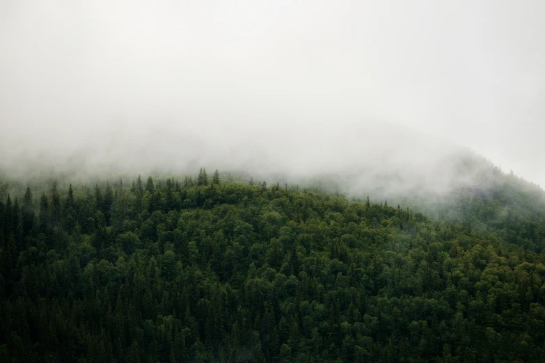 mist on the top of a mountain in front of trees