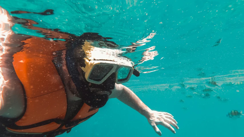 the view from under the water with a man in a scuba mask