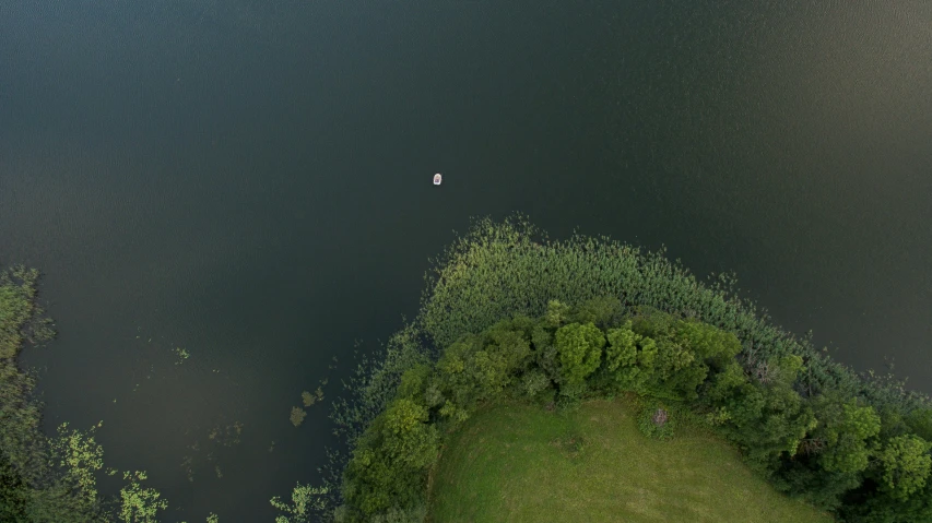 an aerial s of a boat in the water and trees