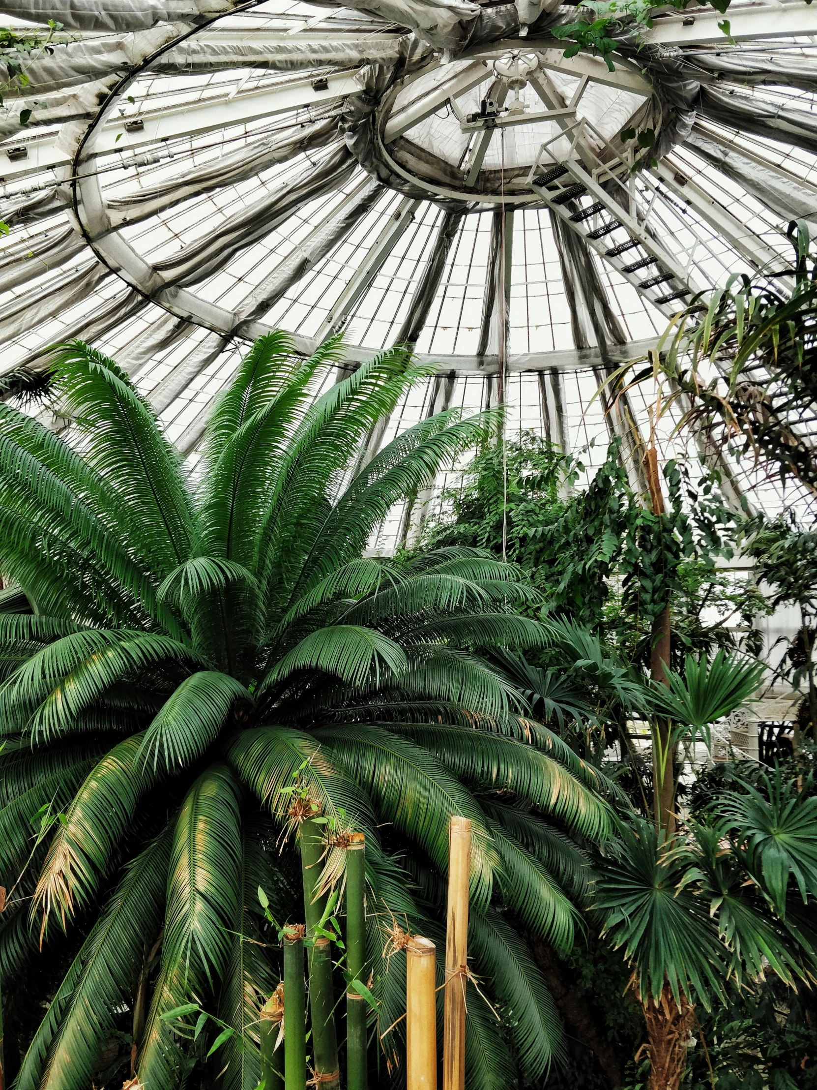 a green house with many trees and plants