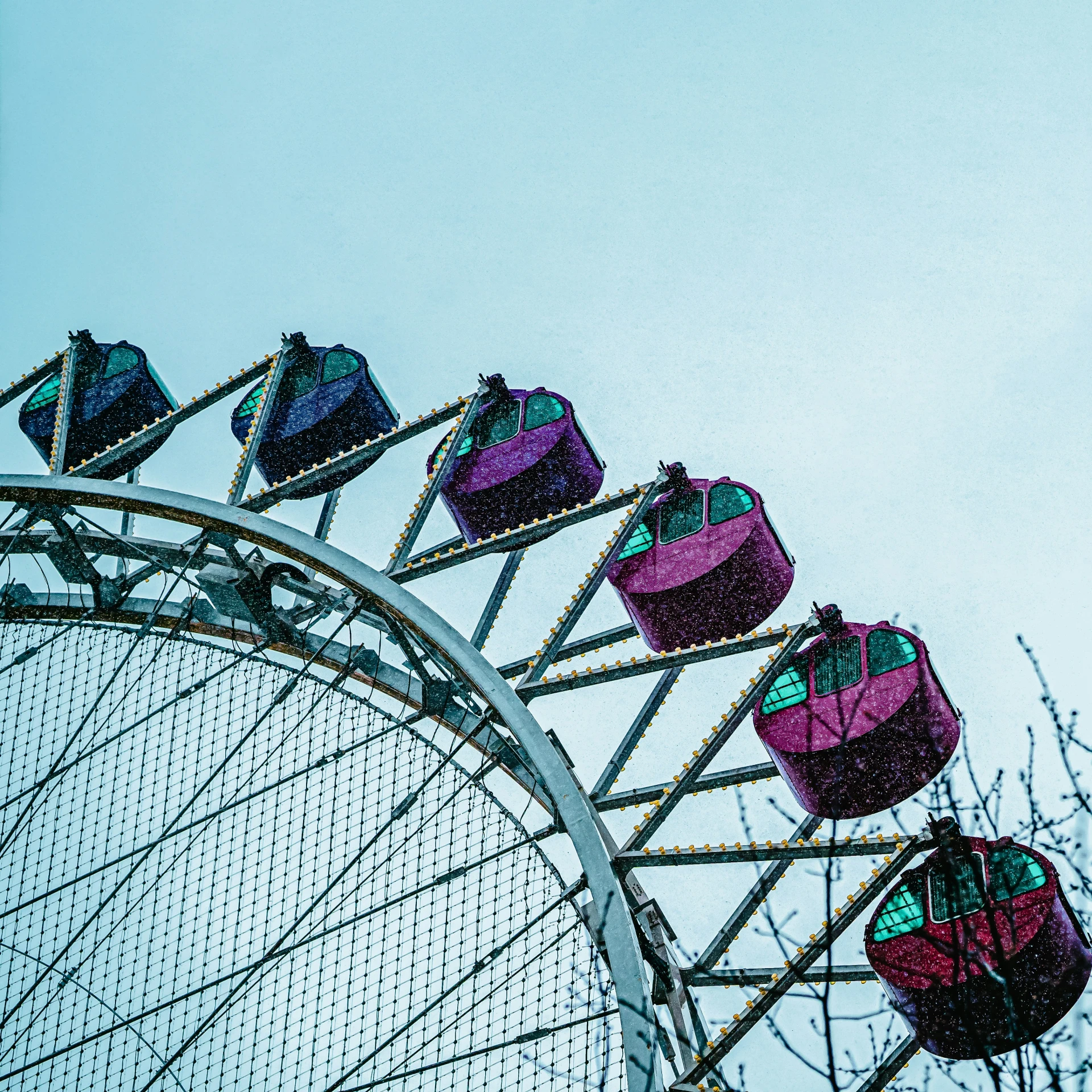 a pink and blue ferris wheel near a gray fence