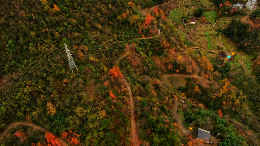an aerial view shows colorful autumn foliage