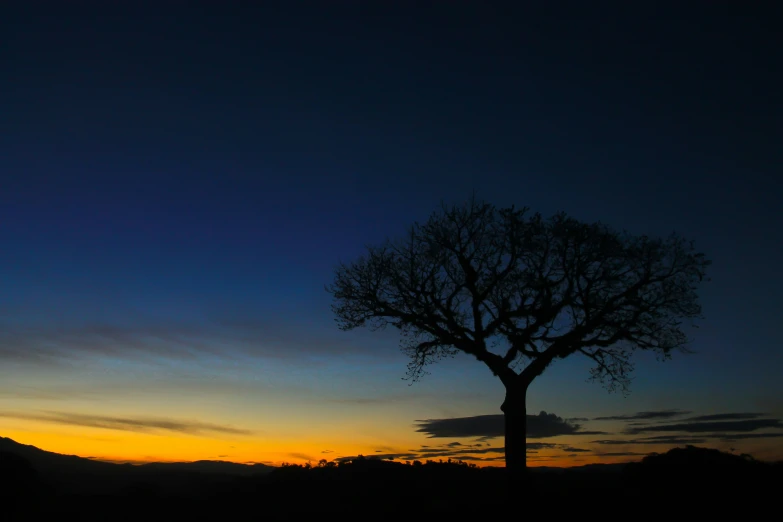 a lonely tree sits in the distance at sunset