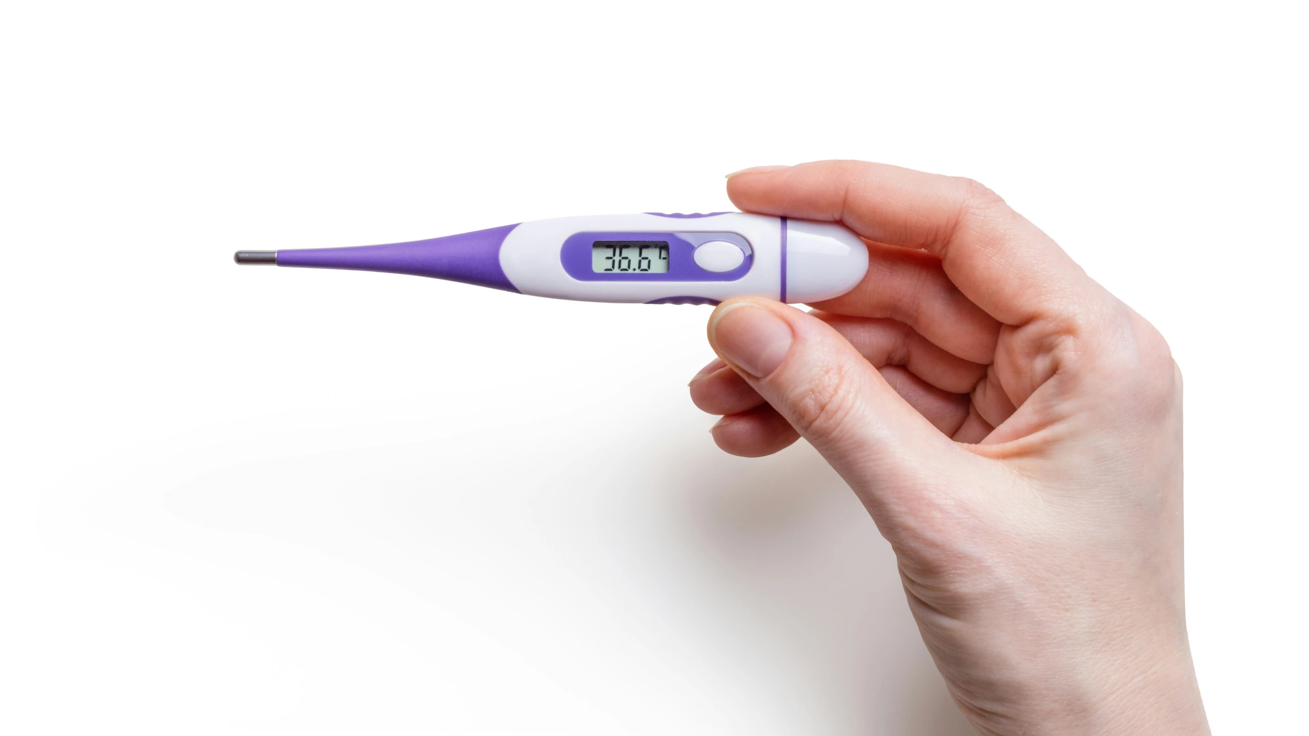 a hand holds an electronic thermometer against a white background