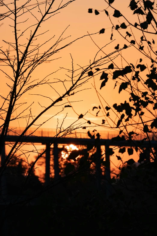 the sun rises behind a tall white bridge