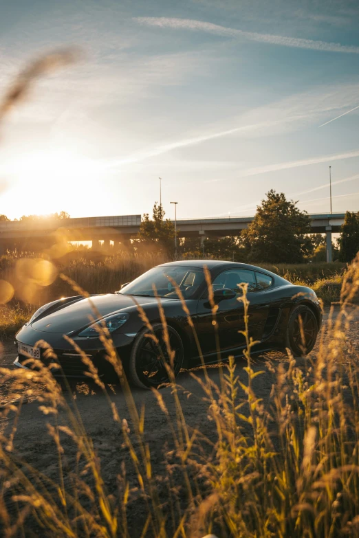 a dark colored sports car parked in a grassy area near the city