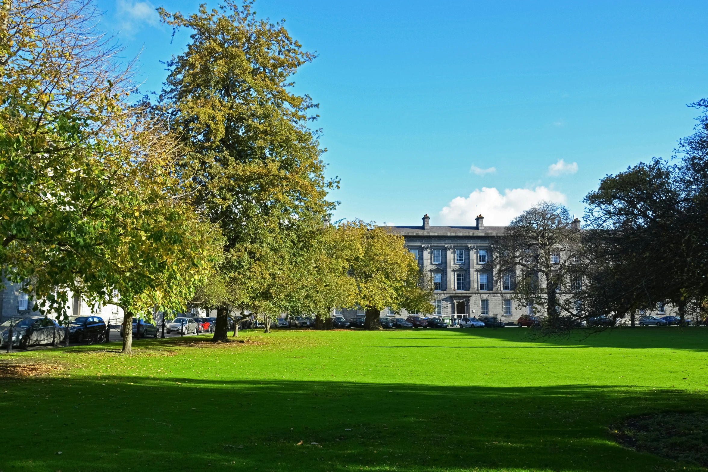 the cam's grass is lush and green