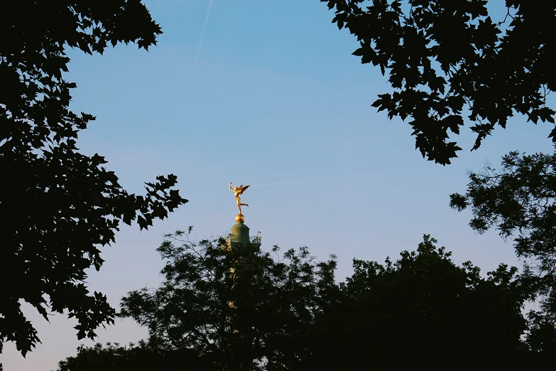 silhouettes of trees and a building with a kite flying above them