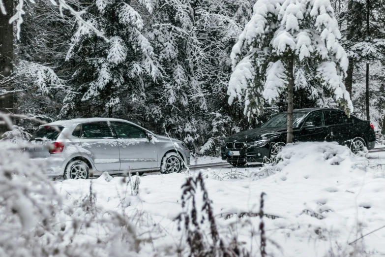 a couple of cars parked next to some trees