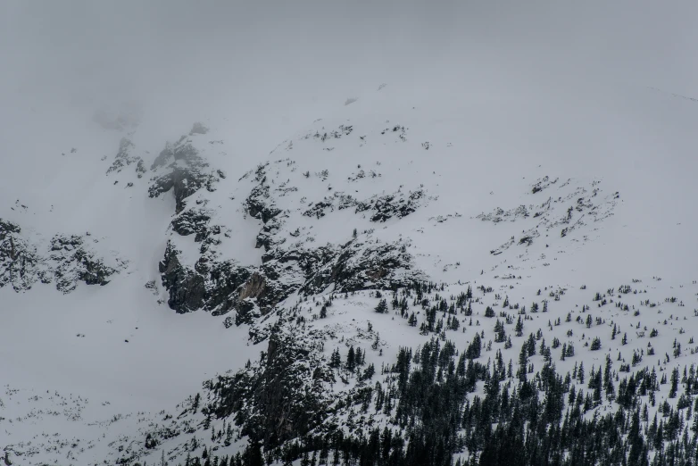 a mountain has snow in it and a tree in the foreground