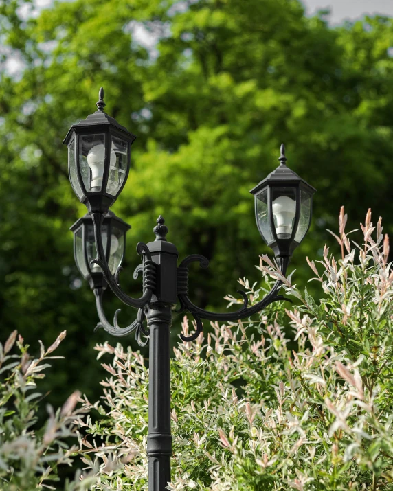 two black street lamps against a background of green trees