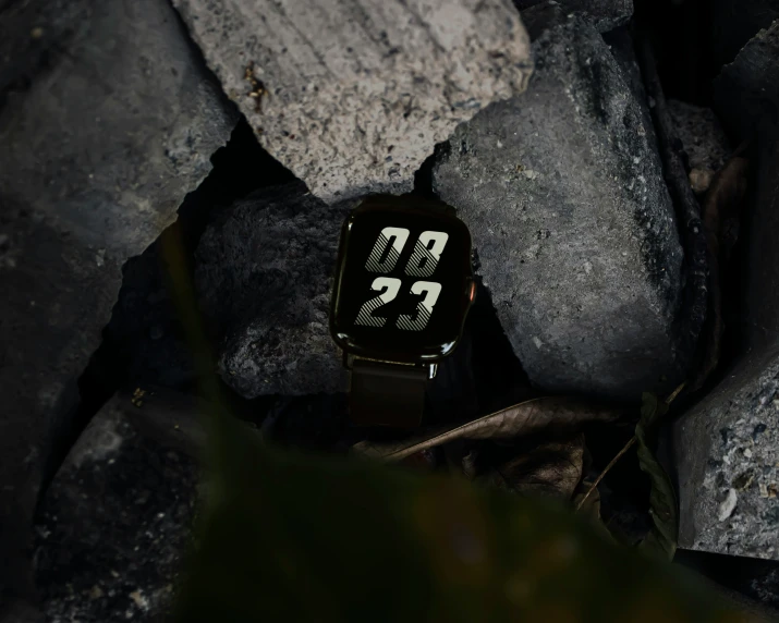 an image of a watch on some rocks
