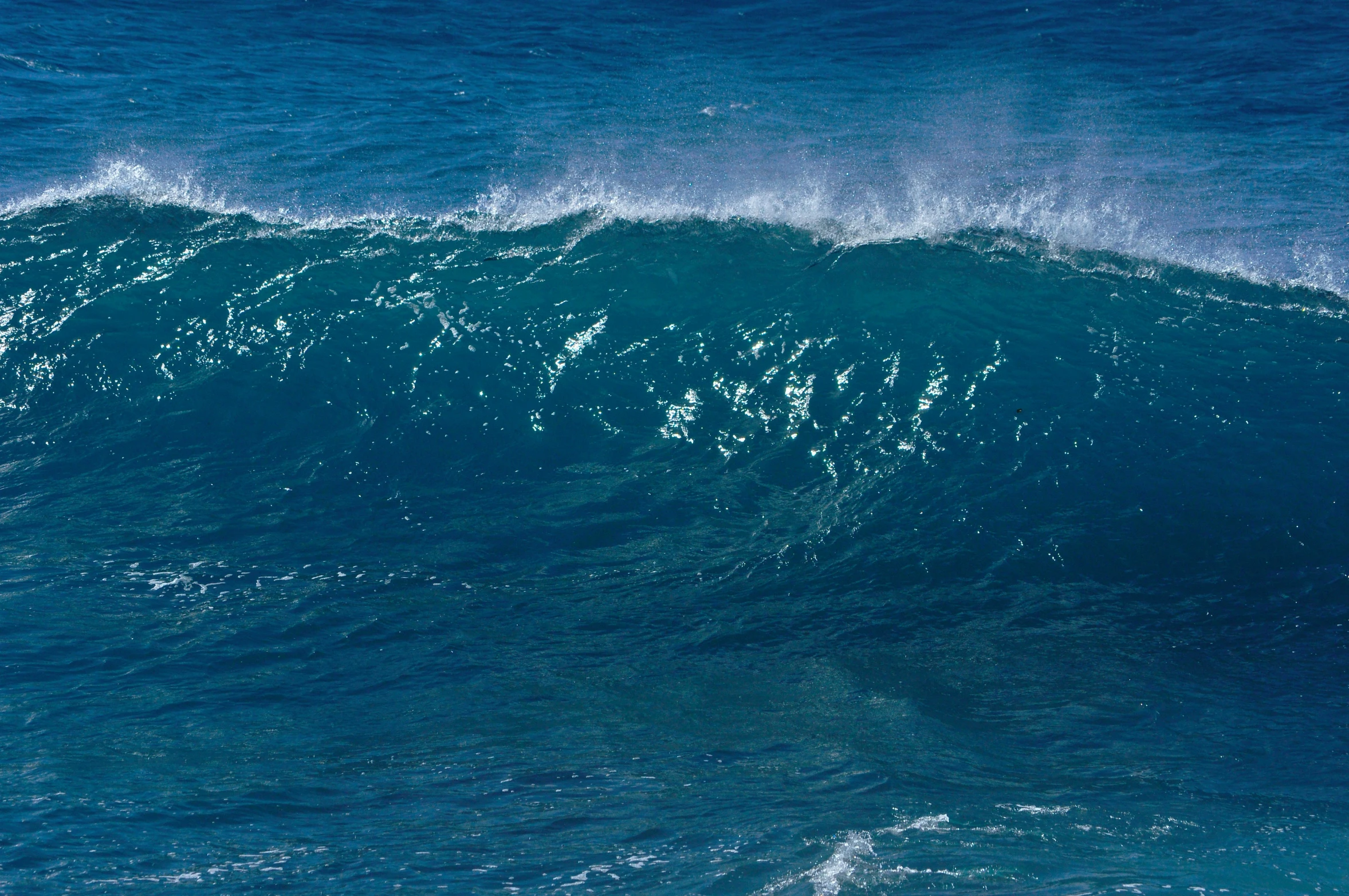 an extreme view of a wave that is crashing