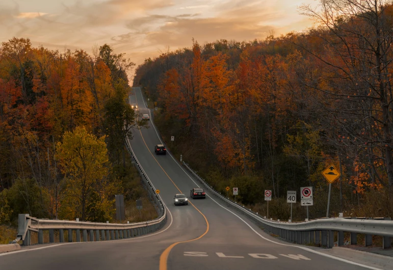 a road in the mountains with trees lining both sides