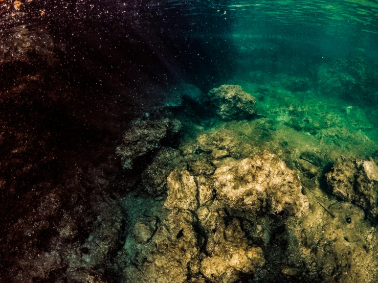 a sandy beach under water with green algae