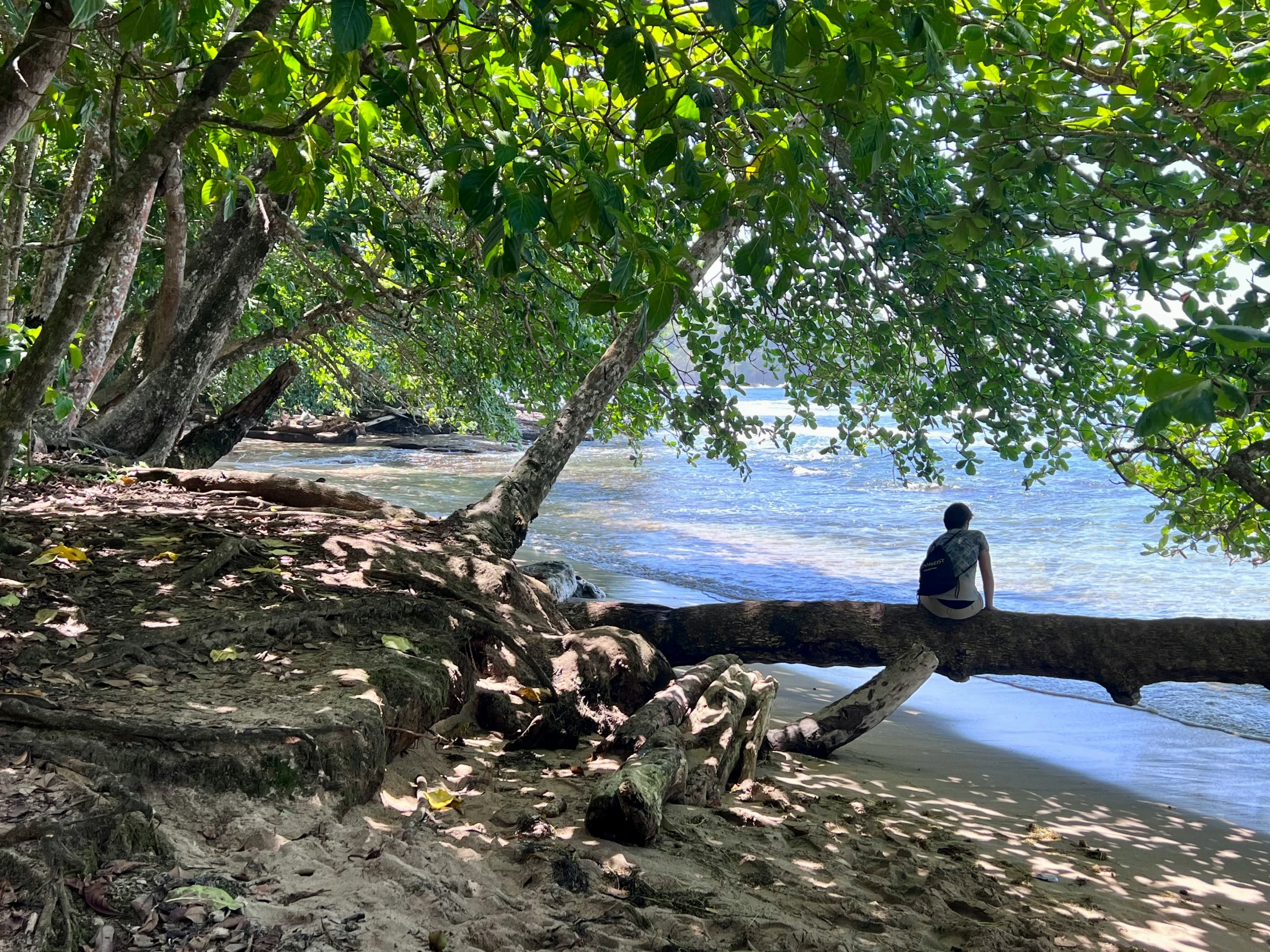 the man is sitting on the tree log over looking the water