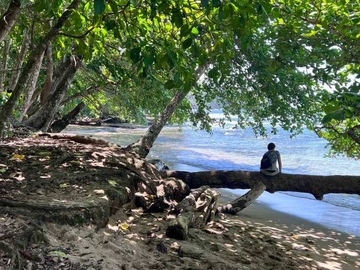 the man is sitting on the tree log over looking the water