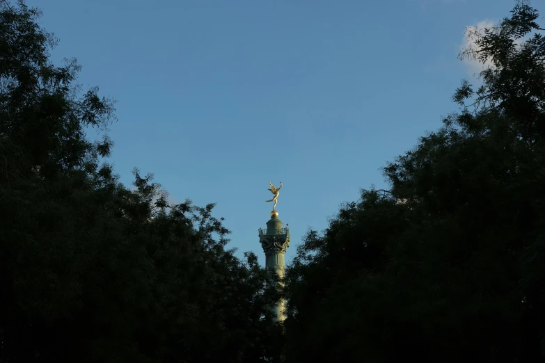 trees against a blue sky and a tall tower