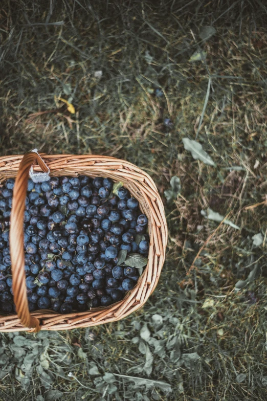 a basket filled with blueberries laying on the grass