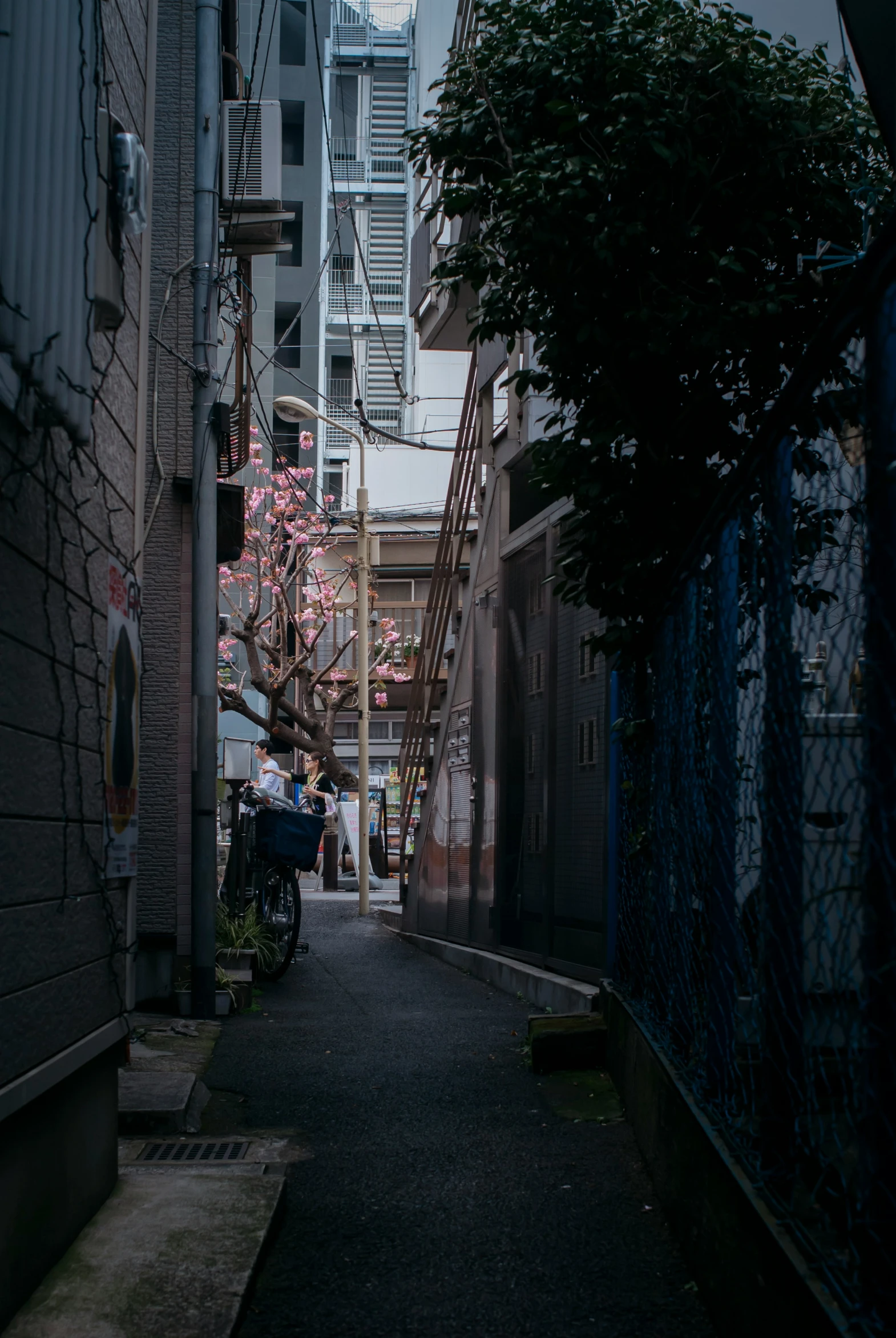 people sitting at tables on an alley way