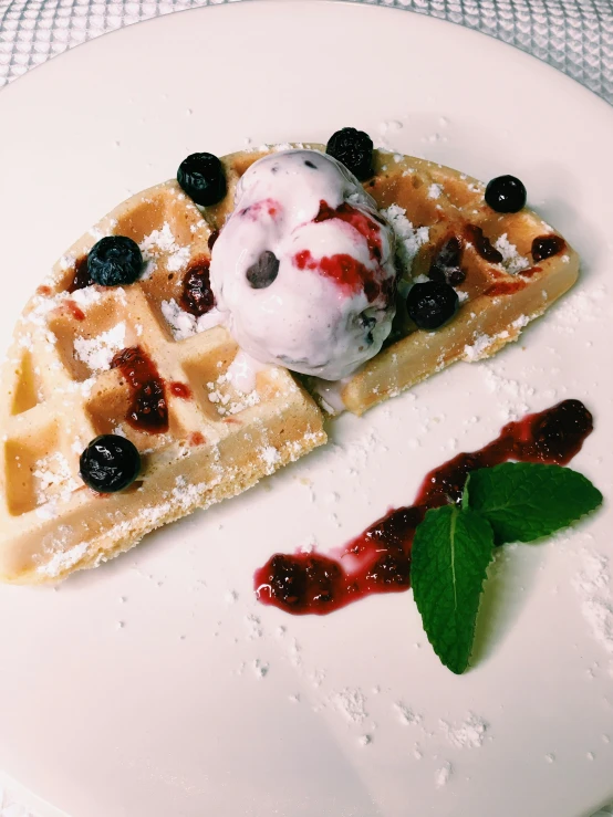 a plate with waffles and blueberries sitting on a table