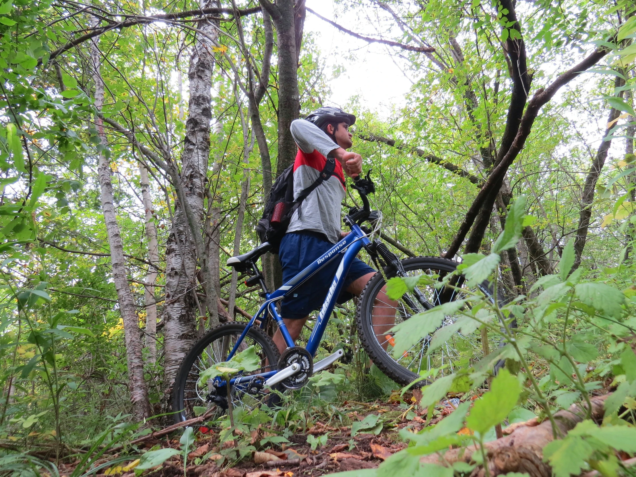 a man riding his bike through the woods