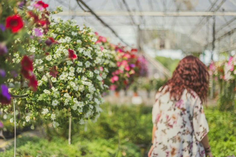 a lady with long red hair in an outdoor greenhouse