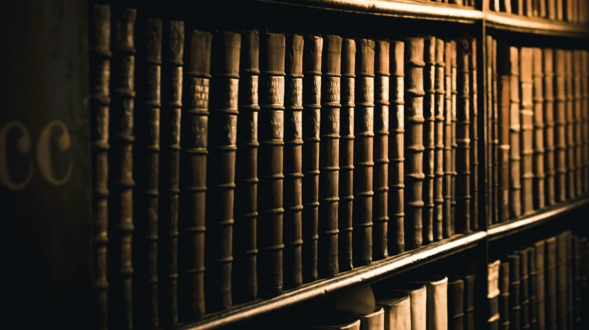 books lined up on shelves with the number 3