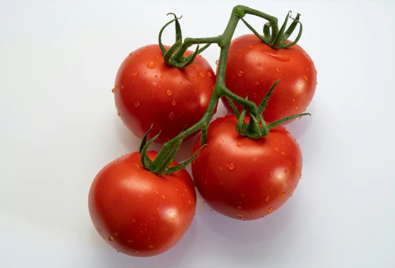 three tomatoes on a white table with stems