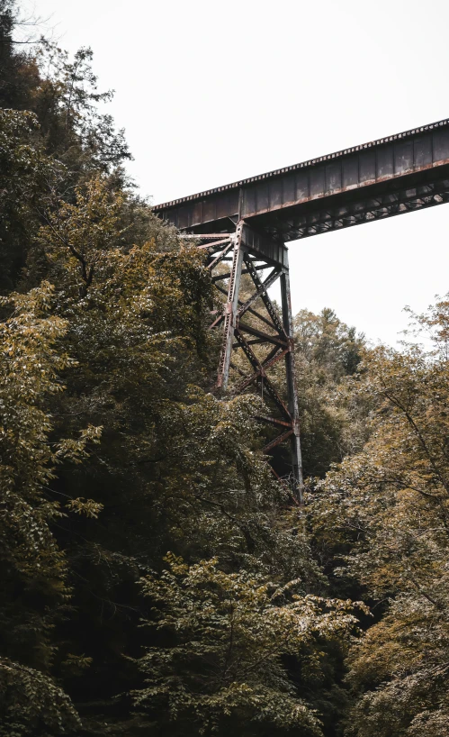 a train bridge over water with lots of trees on either side