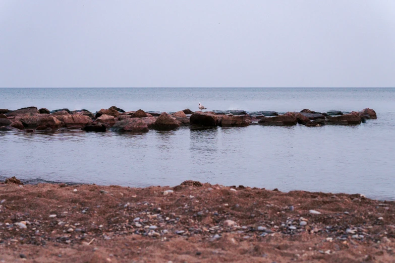 an outcropping on a rocky beach near the ocean