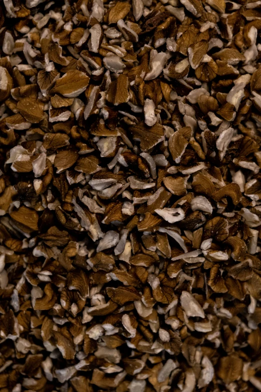 a mixture of brown mues in a pile