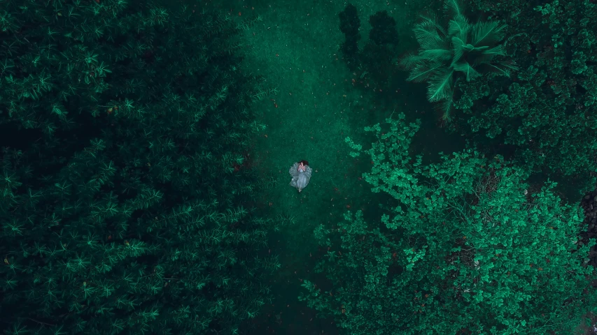 two people walking in a forest next to each other