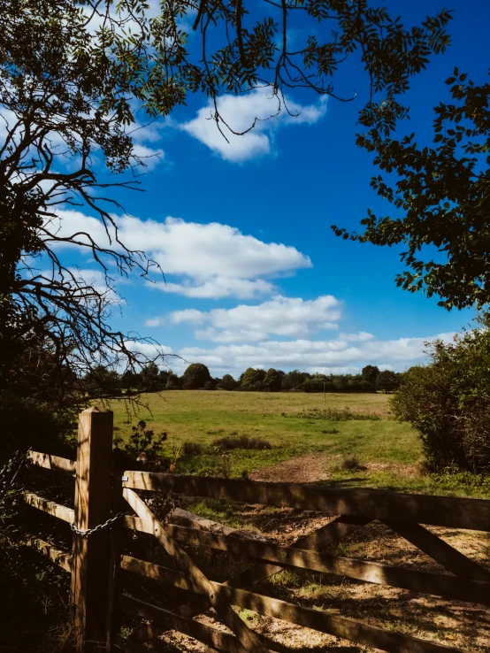 an open field and a gate near a field