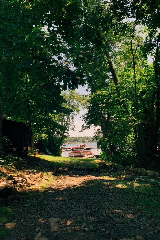 a boat traveling along a road surrounded by trees