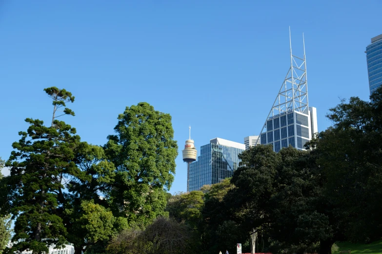 a very tall building surrounded by many trees