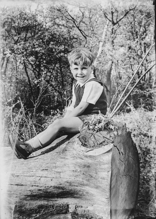 a  is sitting on top of a log