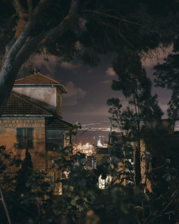 a city view is shown from behind some trees