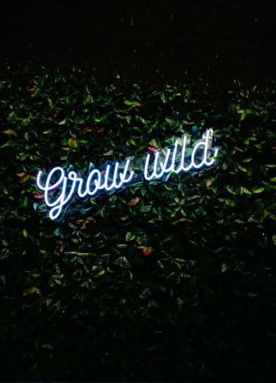 the sign is glowing in the dark with green leaves