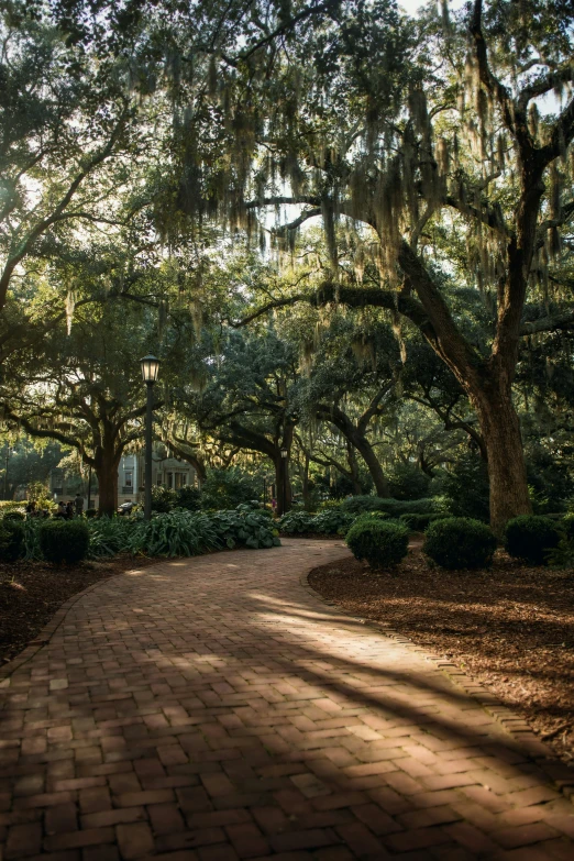 a brick walk way surrounded by trees and bushes